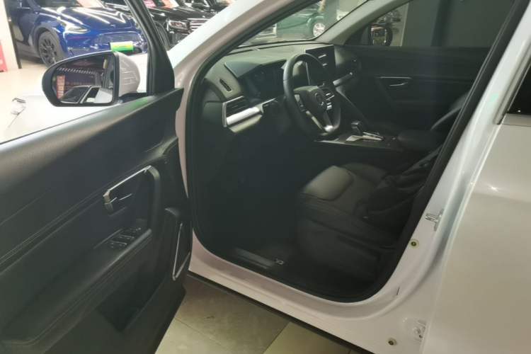 Used BYD Song Pro 2019 1.5T Automatic Elite Edition Driver Seat