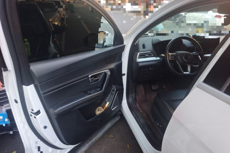 Used BYD Song Pro 2019 1.5T Automatic Prestige Model Driver Seat