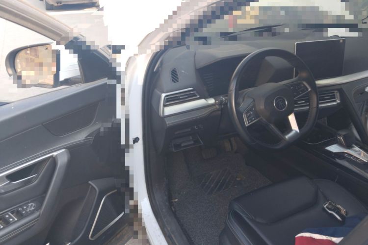 Used BYD Song Pro 2019 1.5T Automatic Elite Edition Driver Seat