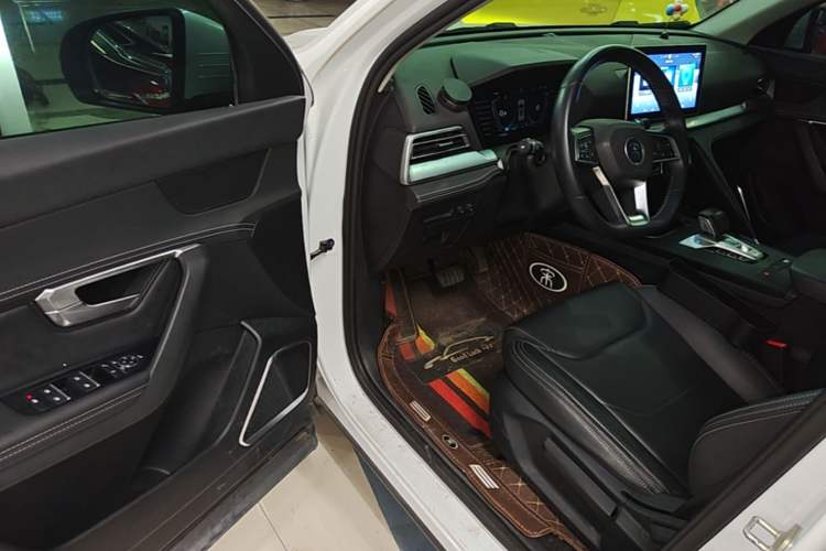 Used BYD Song Pro 2019 1.5T Automatic Luxury Model Driver Seat