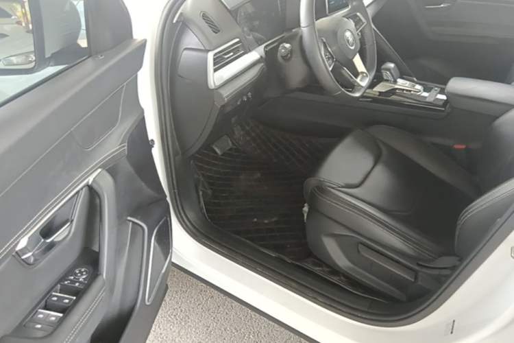 Used BYD Song Pro 2019 1.5T Automatic Elite Edition Driver Seat