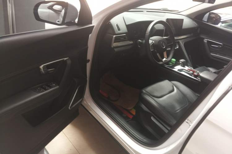 Used BYD Song Pro 2019 1.5T Automatic Luxury Model Driver Seat