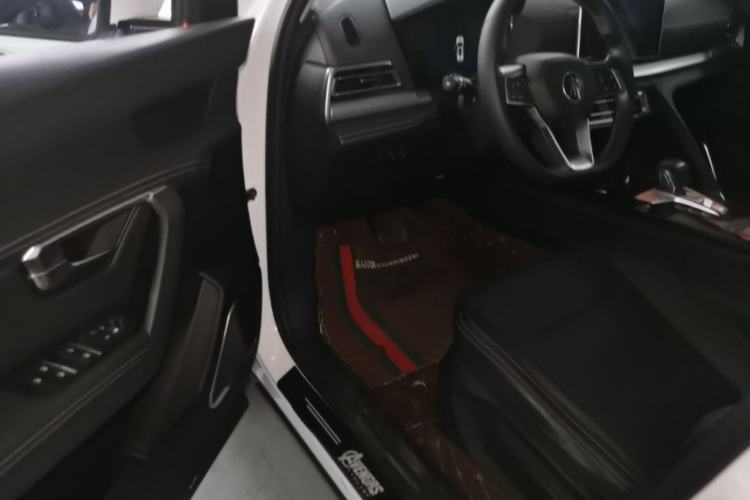 Used BYD Song Pro 2019 1.5T Automatic Elite Edition Driver Seat