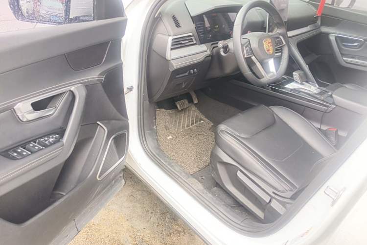 Used BYD Song Pro 2019 1.5T Automatic Luxury Model Driver Seat