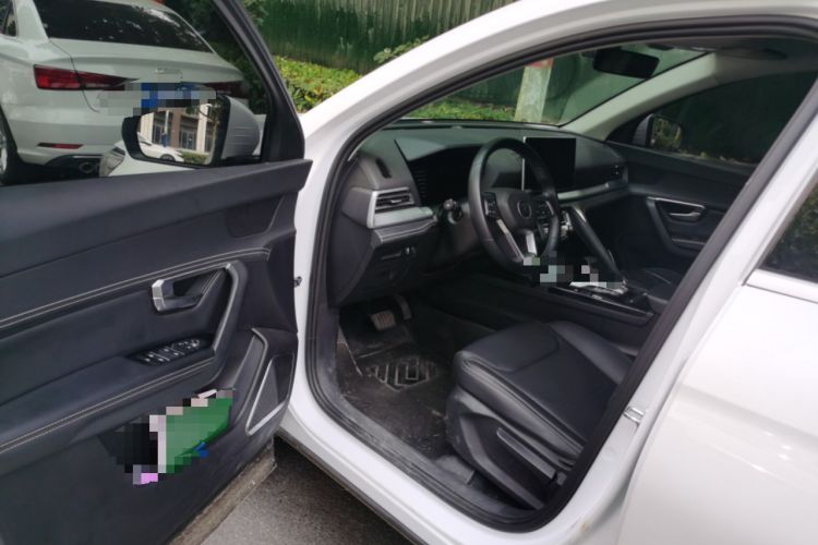 Used BYD Song Pro 2019 1.5T Automatic Elite Edition Driver Seat