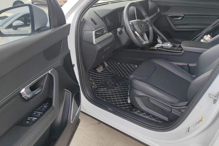 Used BYD Song Pro 2019 1.5T Automatic Luxury Model Driver Seat