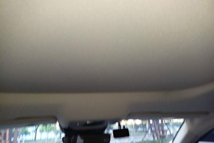 Used BYD Song Pro 2019 1.5T Automatic Luxury Model Headliner
