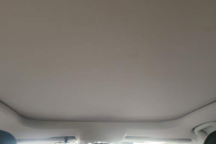 Used BYD Song Pro 2019 1.5T Automatic Luxury Model Headliner