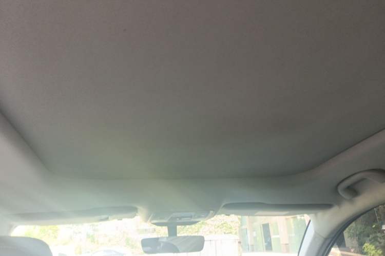 Used BYD Song Pro 2019 1.5T Automatic Luxury Model Headliner