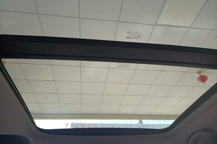 Used BYD Song Pro 2019 1.5T Automatic Luxury Model Headliner