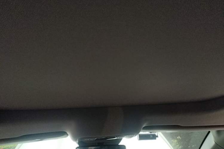 Used BYD Song Pro 2019 1.5T Automatic Luxury Model Headliner