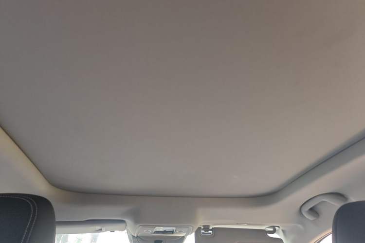 Used BYD Song Pro 2019 1.5T Automatic Luxury Model Headliner