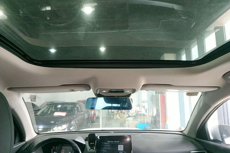 Used BYD Song Pro 2019 1.5T Automatic Luxury Model Headliner