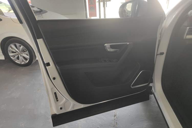 Used BYD Song Pro 2019 1.5T Automatic Luxury Model Left Front Door Interior