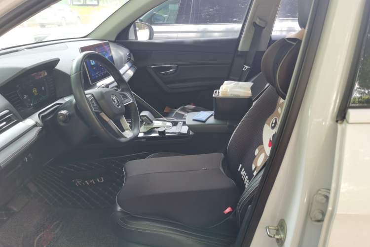 Used BYD Song Pro 2019 1.5T Automatic Luxury Model Left Front Seat