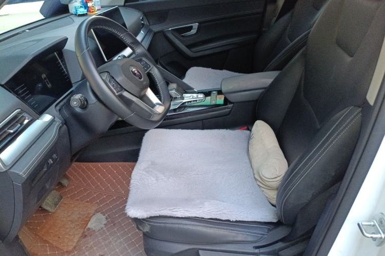 Used BYD Song Pro 2019 1.5T Automatic Luxury Model Left Front Seat