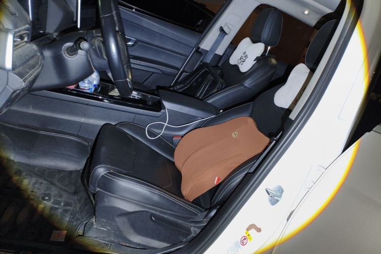 Used BYD Song Pro 2019 1.5T Automatic Luxury Model Left Front Seat