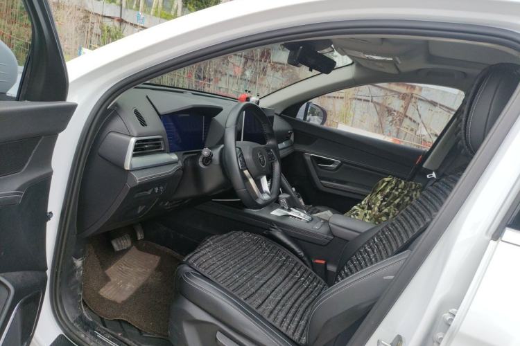 Used BYD Song Pro 2019 1.5T Automatic Luxury Model Left Front Seat