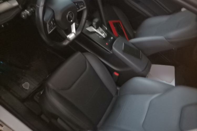 Used BYD Song Pro 2019 1.5T Automatic Luxury Model Left Front Seat