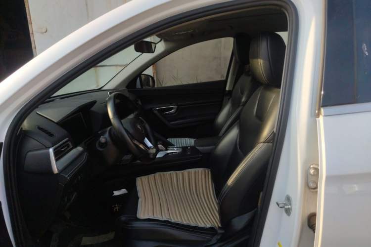 Used BYD Song Pro 2019 1.5T Automatic Luxury Model Left Front Seat