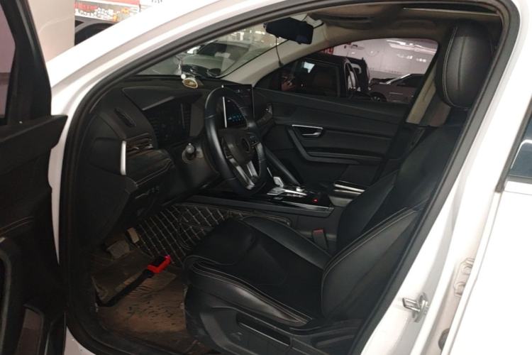 Used BYD Song Pro 2019 1.5T Automatic Elite Edition Left Front Seat