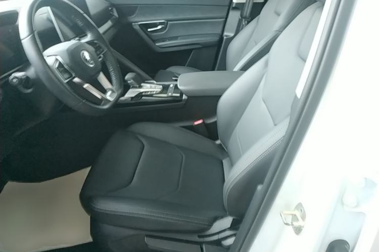Used BYD Song Pro 2019 1.5T Automatic Elite Edition Left Front Seat