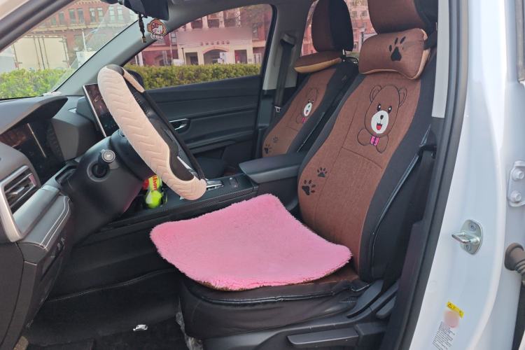 Used BYD Song Pro 2019 1.5T Automatic Luxury Model Left Front Seat