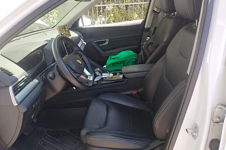Used BYD Song Pro 2019 1.5T Automatic Luxury Model Left Front Seat
