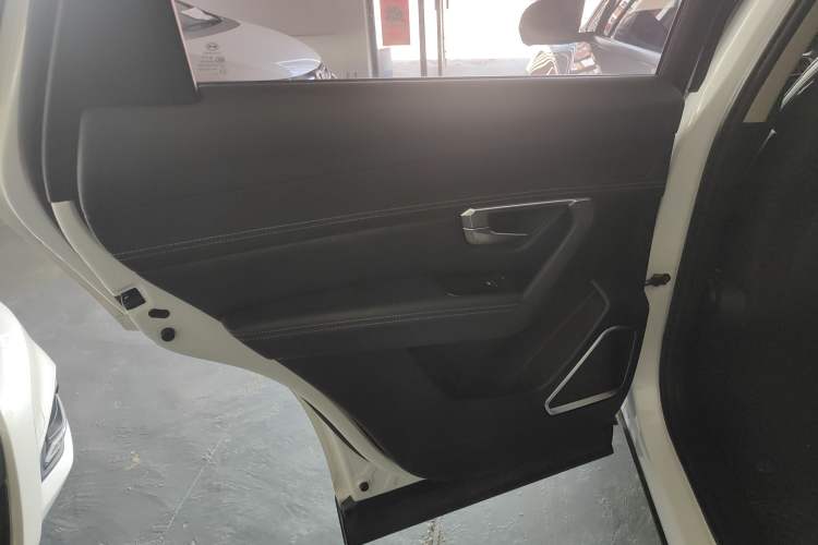 Used BYD Song Pro 2019 1.5T Automatic Luxury Model Left Rear Door Interior