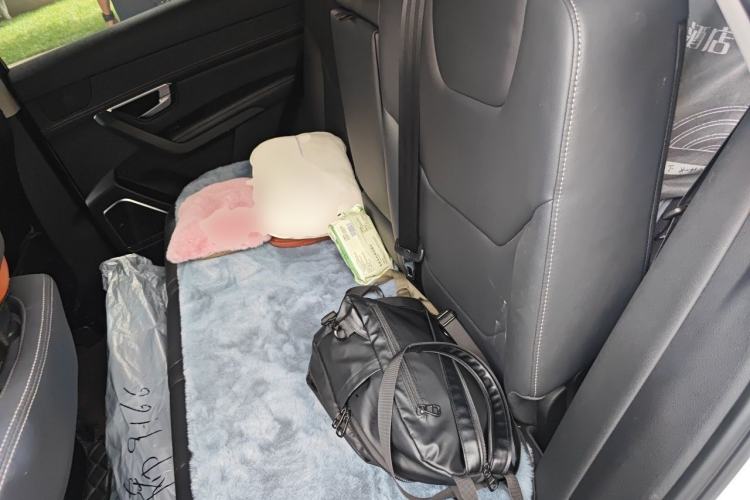 Used BYD Song Pro 2019 1.5T Automatic Luxury Model Left Rear Seat
