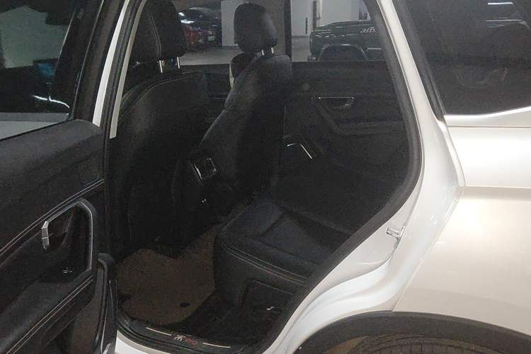Used BYD Song Pro 2019 1.5T Automatic Luxury Model Left Rear Seat