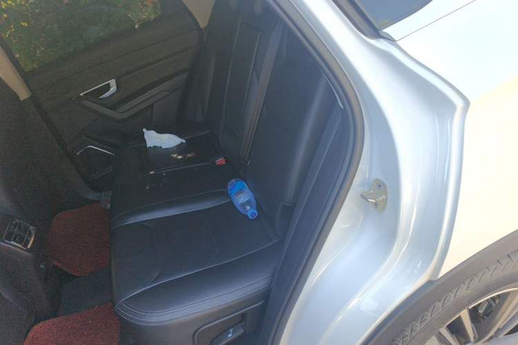 Used BYD Song Pro 2019 1.5T Automatic Elite Edition Left Rear Seat