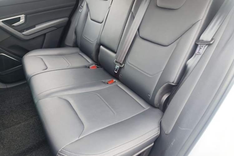 Used BYD Song Pro 2019 1.5T Automatic Luxury Model Left Rear Seat