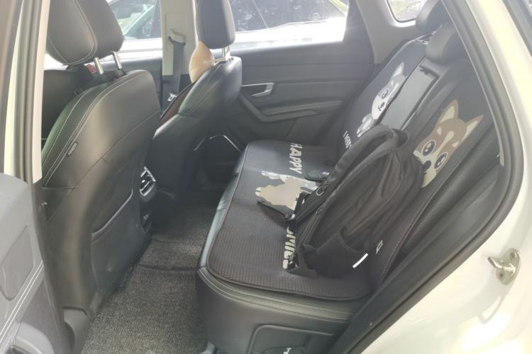 Used BYD Song Pro 2019 1.5T Automatic Luxury Model Left Rear Seat