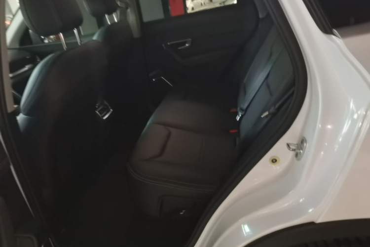 Used BYD Song Pro 2019 1.5T Automatic Elite Edition Left Rear Seat
