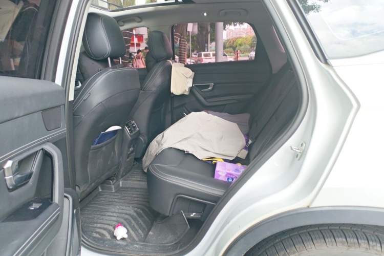 Used BYD Song Pro 2019 1.5T Automatic Luxury Model Left Rear Seat