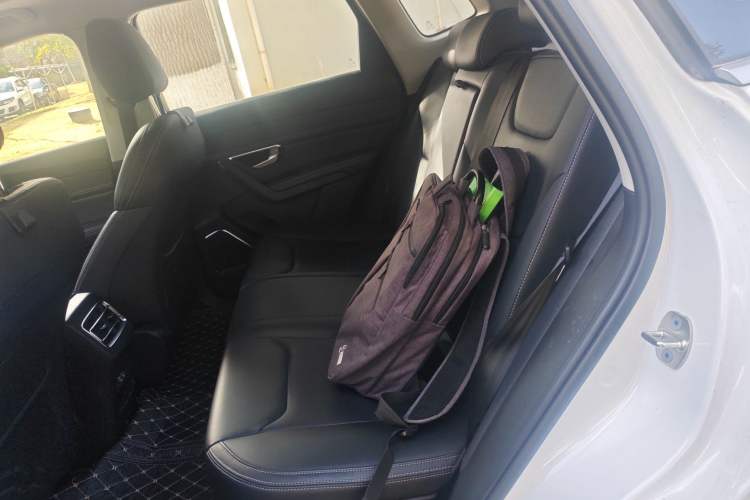 Used BYD Song Pro 2019 1.5T Automatic Luxury Model Left Rear Seat
