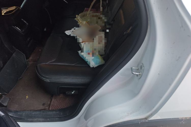 Used BYD Song Pro 2019 1.5T Automatic Prestige Model Left Rear Seat