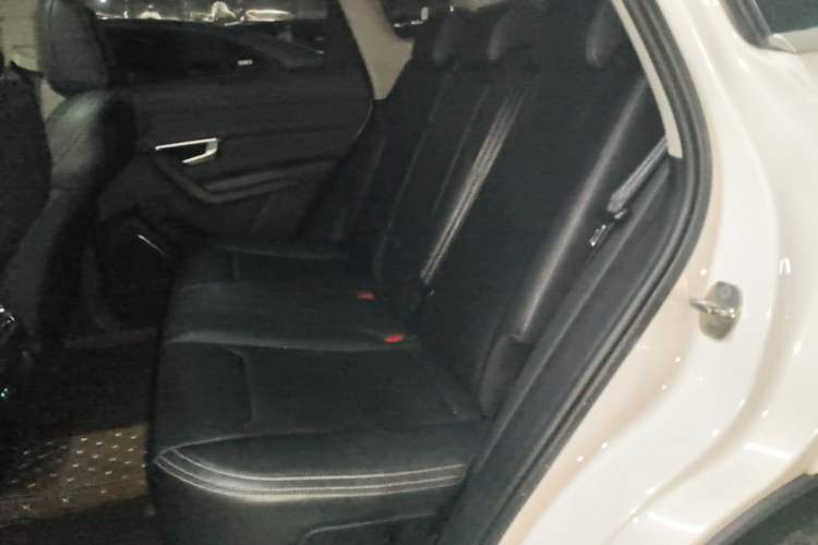 Used BYD Song Pro 2019 1.5T Automatic Luxury Model Left Rear Seat