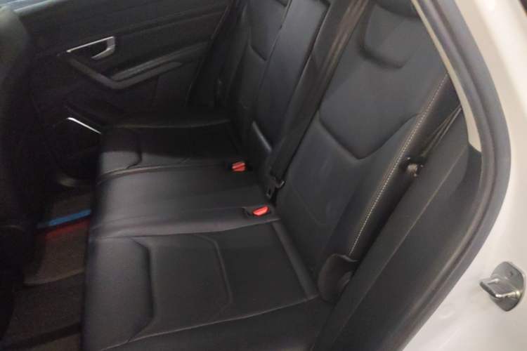 Used BYD Song Pro 2019 1.5T Automatic Elite Edition Left Rear Seat