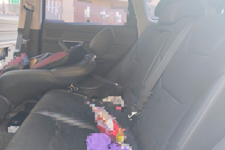 Used BYD Song Pro 2019 1.5T Automatic Elite Edition Left Rear Seat