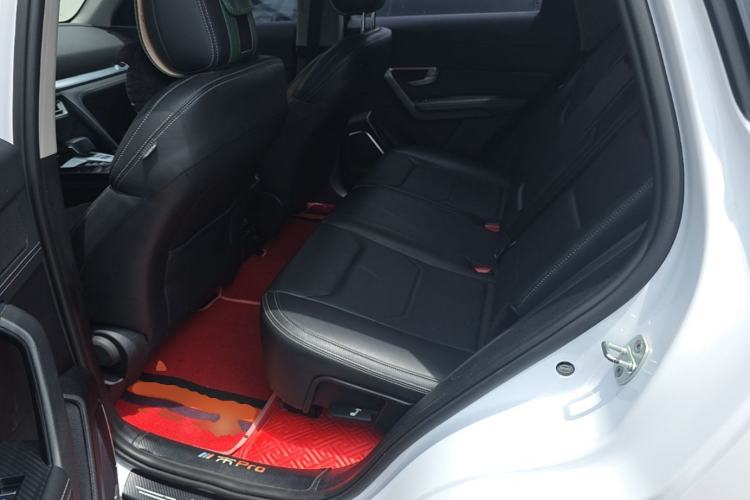 Used BYD Song Pro 2019 1.5T Automatic Luxury Model Left Rear Seat
