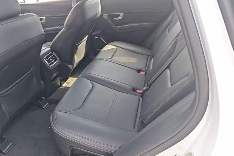 Used BYD Song Pro 2019 1.5T Automatic Luxury Model Left Rear Seat