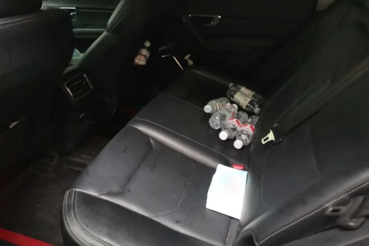 Used BYD Song Pro 2019 1.5T Automatic Luxury Model Left Rear Seat