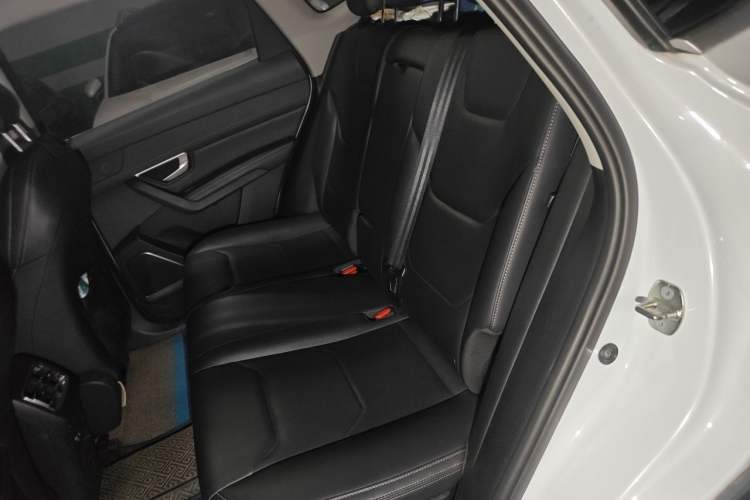 Used BYD Song Pro 2019 1.5T Automatic Luxury Model Left Rear Seat