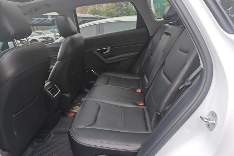 Used BYD Song Pro 2019 1.5T Automatic Luxury Model Left Rear Seat