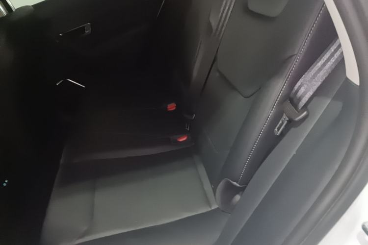 Used BYD Song Pro 2019 1.5T Automatic Luxury Model Left Rear Seat