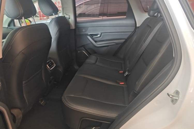 Used BYD Song Pro 2019 1.5T Automatic Luxury Model Left Rear Seat