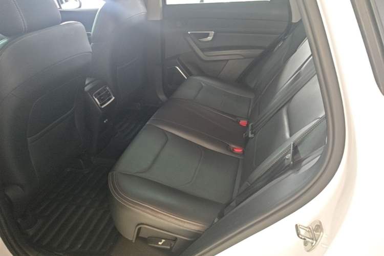 Used BYD Song Pro 2019 1.5T Automatic Luxury Model Left Rear Seat