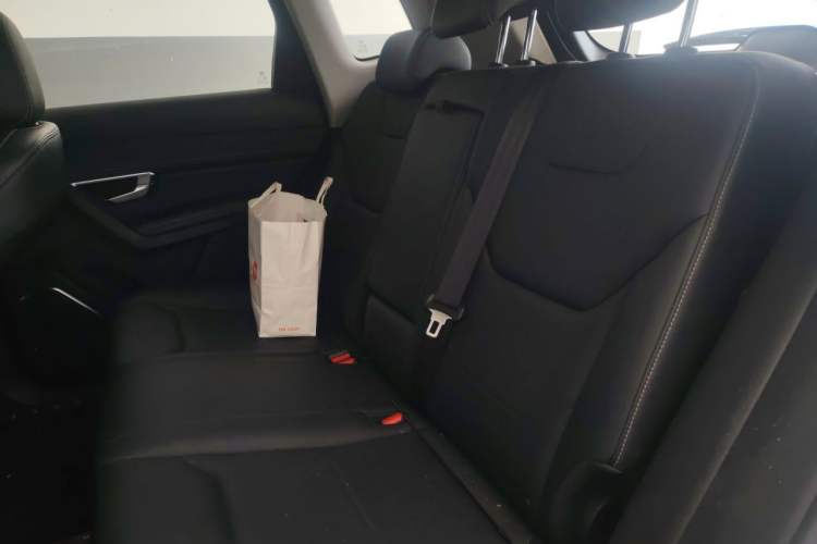 Used BYD Song Pro 2019 1.5T Automatic Luxury Model Left Rear Seat